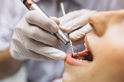 periodontia